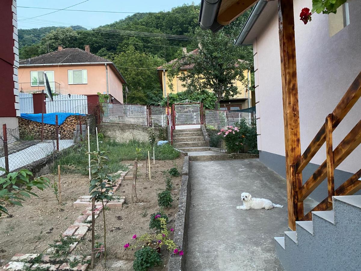 Smestaj Zeka Tekija Tekija  Εξωτερικό φωτογραφία